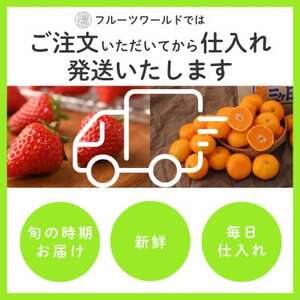 静岡県磐田市 クラウンメロン 白等級 約1.3kg×1個【配送不可地域：離島・北海道・沖縄県】【1640717】
