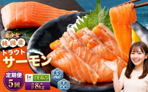 【5回定期便】 国産 トラウトサーモン 計約8kg （約200g×8パック）×5回 サーモン 新鮮 小分け 真空パック 急速凍結 国内養殖 冷凍