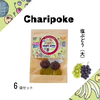 ふるさと納税 赤磐市 ドライフルーツ チャリポケ 塩 ドライ果実 ぶどう 大サイズ [NO5765-1103]