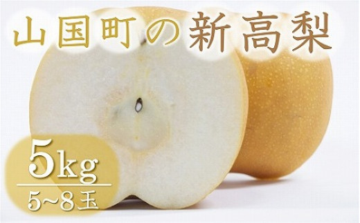 
            【先行予約】【数量限定】山国町の新高梨 約5kg | フルーツ 果物 くだもの 梨 ナシ なし 新高 新高梨 和梨  5kg 5キロ 完熟 国産 産地直送 山国梨棚 森澤梨園 大分県産 大分県 中津市
          
