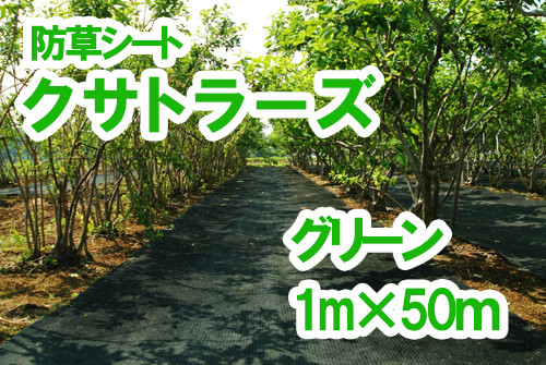 
                  【防草シート】クサトラーズ（１ｍ×５０ｍ）グリーン
                