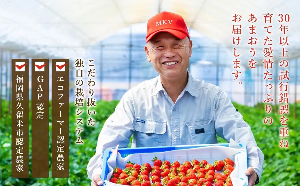 【2027年1月発送】 エコファーマー あまおう 約280g×2パック 計560g ／ いちご 苺 イチゴ ベリー 果物 フルーツ お取り寄せ デザート おやつ