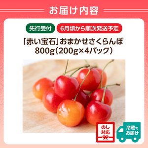 《先行受付》「赤い宝石」おまかせさくらんぼ 200ｇ×4Ｐ【2026年6月頃より順次発送予定】 060-022