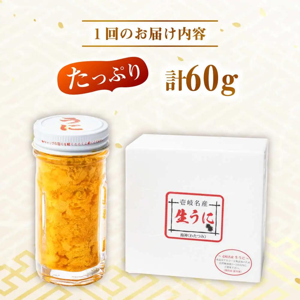 生うに（全3回定期便） 60g×1本 [JEH025] うに