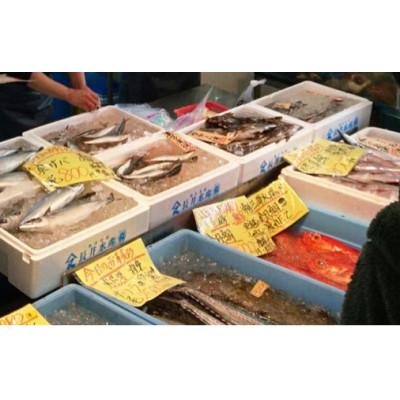 ふるさと納税 横須賀市 かながわブランド「三崎黒潮キンメ」鯛の大干物 2枚入 約1400g |  | 03
