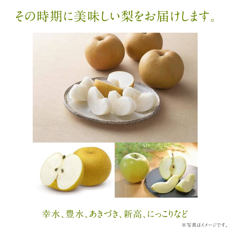 梨 2品種 各7個ずつ【2025年8月より発送開始】（茨城県共通