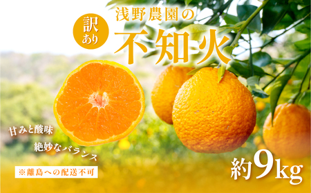 【先行予約】【訳あり】浅野農園の不知火 計9kg ※離島への配送不可（2026年2月中旬頃より順次発送予定） IKTAC030