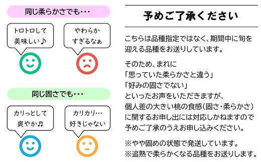 【令和7年産先行予約】晩成のもも「あぶくま・だて白桃・