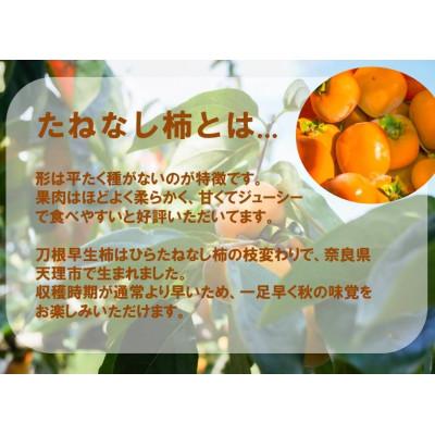 ふるさと納税 天理市 【R8年10月以降発送】刀根早生柿発祥の地※より「たねなし柿」L~2L(1段箱16〜18玉) |  | 01