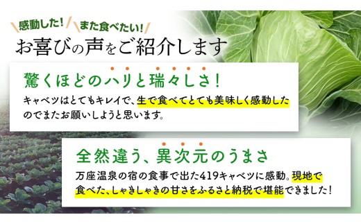 【7月中旬発送開始】訳あり まぼろしの419キャベツ 4玉 きゃべつ 嬬恋村産キャベツ 羽生田売店 幻のキャベツ419 産地直送 期間限定 人気 朝採り 通販 お取り寄せ 関東 群馬 出荷時期限定 Z