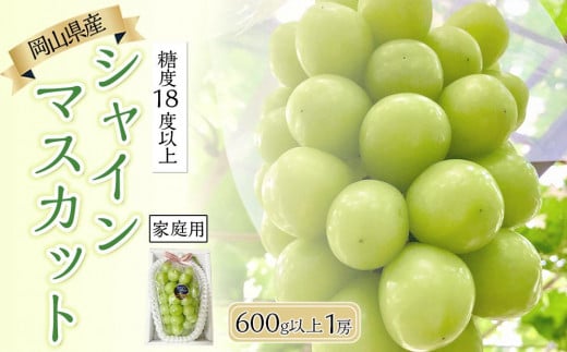 ぶどう 2025年 先行予約 糖度18度以上 岡山県産 シャインマスカット 600g以上 1房 家庭用＜9月以降発送＞ | フルーツ 果物 くだもの シャインマスカット マスカット 葡萄 ぶどう ブドウ ご家庭用 岡山県産 シャインマスカット マスカット フルーツ 果物 くだもの シャインマスカット