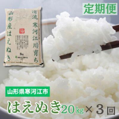 ふるさと納税 寒河江市 【毎月定期便】はえぬき20kg(5kg×4袋)全3回