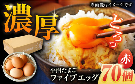 【箱入り】平飼たまご ファイブエッグ M-Lサイズ 70個 / 5EGG 卵 赤玉子五島市 / 五島列島大石養鶏場 [PFQ009]