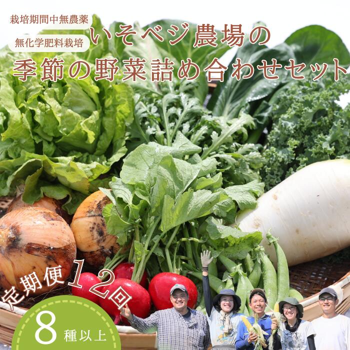 【ふるさと納税】●先行受付・2025年発送　いそベジ農場の季節の野菜詰め合わせセット　定期便12回（IV-T506）