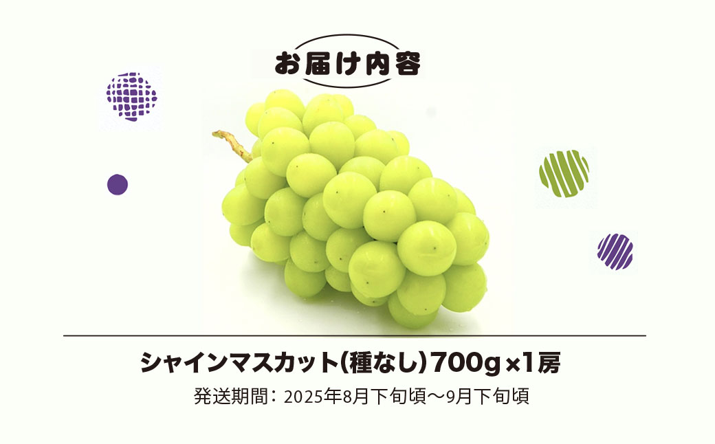 平山ぶどう園のシャインマスカット（種なし）700g × 1房 / KTRBV001 / シャインマスカット マスカット ますかっと 種なし ぶどう ブドウ 葡萄 令和7年発送