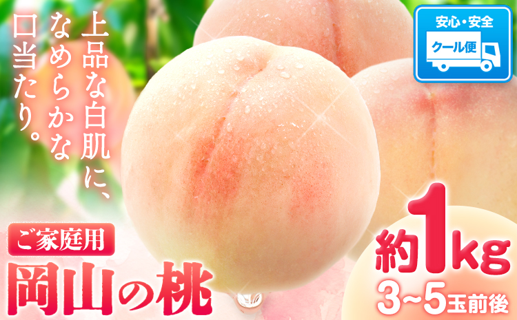 桃 岡山の桃 約1kg(3~5玉前後)《2025年6月下旬-9月上旬頃出荷》 ご家庭用 訳あり 白桃 岡山 はくとう スイーツ フルーツ 果物 デザート 旬 モモ もも 先行予約 送料無料 果物 岡山県 笠岡市 清水白桃 白鳳 白麗 クール便---kasaoka_zsy_1_1---
