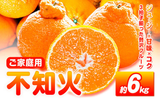 【先行予約】【ご家庭用】紀州有田産 不知火 ( しらぬひ )  約6kg 株式会社魚鶴 《2月中旬-3月中旬頃出荷》 和歌山県 日高川町 不知火 みかん 柑橘 果物 フルーツ デコポン と同品種 でこ