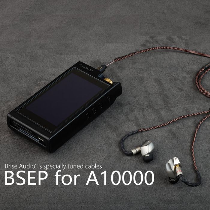【ふるさと納税】Brise Audio ブリスオーディオ 高級 音響 BSEP for A10000 イヤフォンリケーブル【ブリスオーディオ】