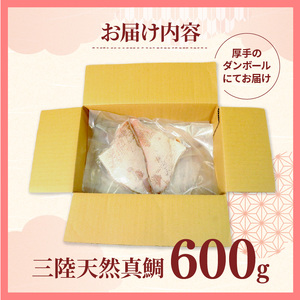 真鯛 刺身 600g 訳アリ 真鯛