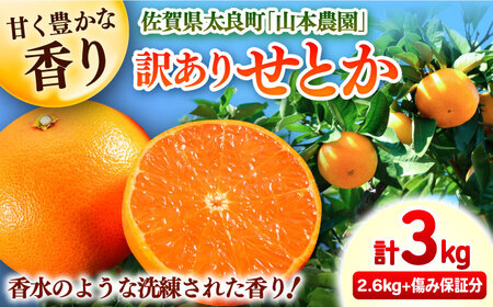 【2025年発送分先行予約】【訳あり】せとか 計3kg（2.6kg＋400ｇ傷み保証分） S-3Lサイズ / みかん ミカン 佐賀みかん / 佐賀県 / 山本農園 [41ATBT010]