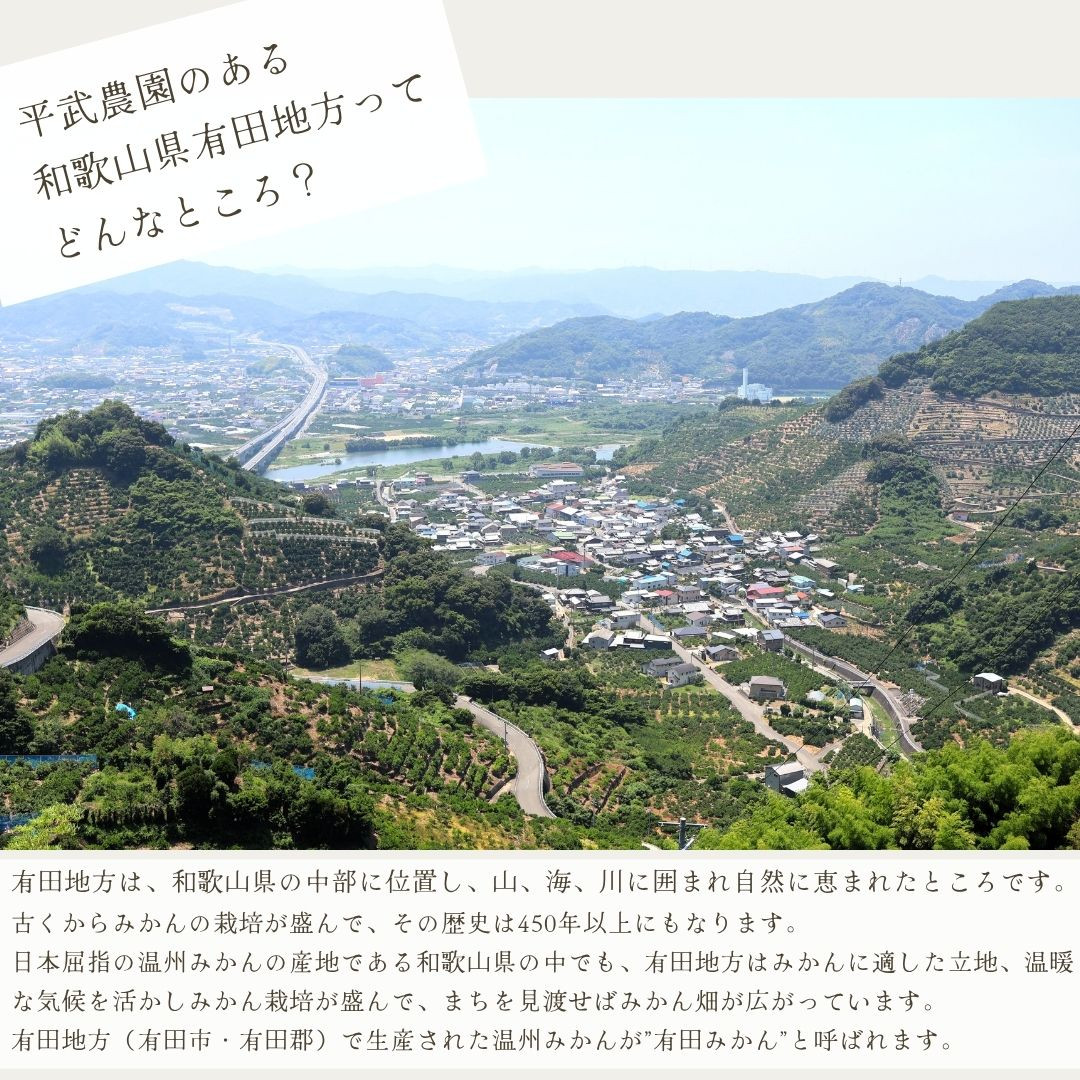 農家直送！有田みかん（5kg 3Sサイズ（超小玉）秀品）平武農園　～蛍飛ぶ町から旬の便り～