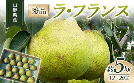 【2026年度先行予約】山形県産ラ・フランス 5kg 12 玉～20 玉 なし ナシ 梨 デザート フルーツ 果物 くだもの 果実 食品 山形県 FSY-2661
