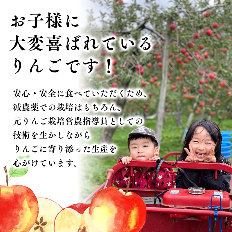 ≪令和8年産先行受付≫令和9年2月発送! 贈答規格サンふじ約2kg【青森県平川市産・青森りんご】【青森県 平川市 山内ファーム】 平川市産 青森りんご りんご リンゴ 林檎 ふじ 贈答 贈答品 お取り