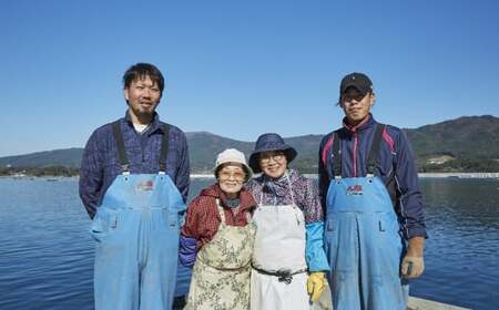 【訳あり/生産者応援】 殻付き生牡蠣 約3kg 生食 冷蔵 三陸産 牡蠣 