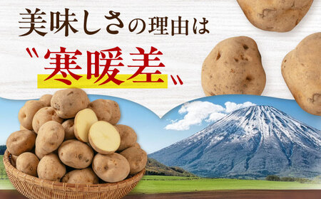 【2027年1月上旬以降順次発送】きたかむい 5kg じゃがいも [AJAK029]