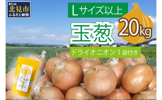 【2024年11月中お届け】玉葱 20kg Lサイズ以上 北見ドライオニオン1袋付き ( 玉ねぎ たまねぎ ドライオニオン セット ふるさと納税 北海道 )【148-0008-2024】