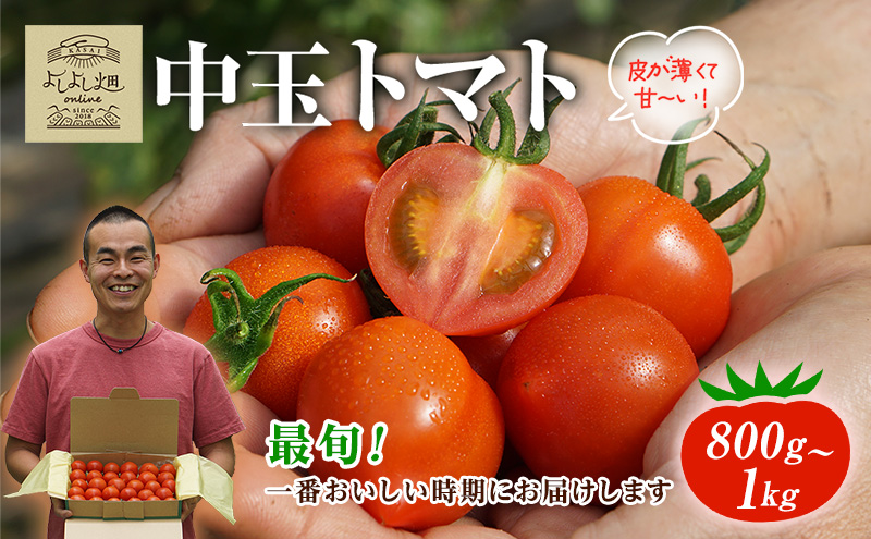 【最旬お届け!!】よしよし畑のあま～い トマト ( 中玉トマト ) 800g ～ 1kg 程度 新鮮 産地直送 冷蔵 とまと おいしい おすすめ ギフト お取り寄せ