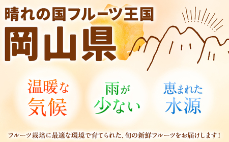 岡山県産 旬の 人気 くだもの おすすめ 定期便 全2回 桃 約1.3.kg (4～8玉前後) シャインマスカット 約1.3kg (2房) 《7月上旬-11月中旬頃出荷》フルーツ 果物 定期便 お取り