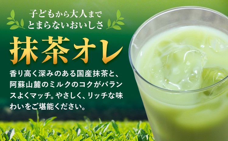 抹茶オレ 1ケース（250ml×24本）抹茶・オ・レ 乳飲料 らくのうマザーズ