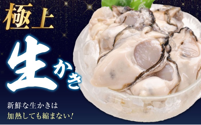 牡蠣 生食 むき身 殻付き かき カキ 生牡蠣 広島牡蠣 オイスター カキフライ 魚介類 貝類 海鮮 広島県産 国産 産地直送
