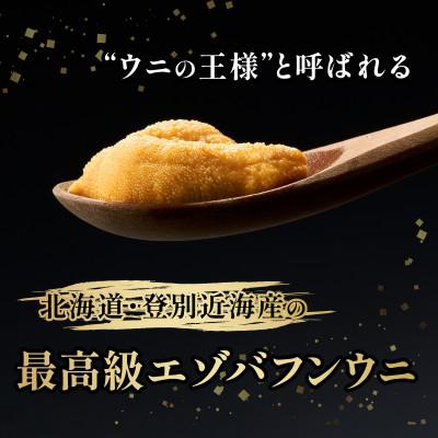 ふるさと納税 登別市 北海道登別近海産　無添加 塩水蝦夷ばふんうに　100g×5p |  | 01