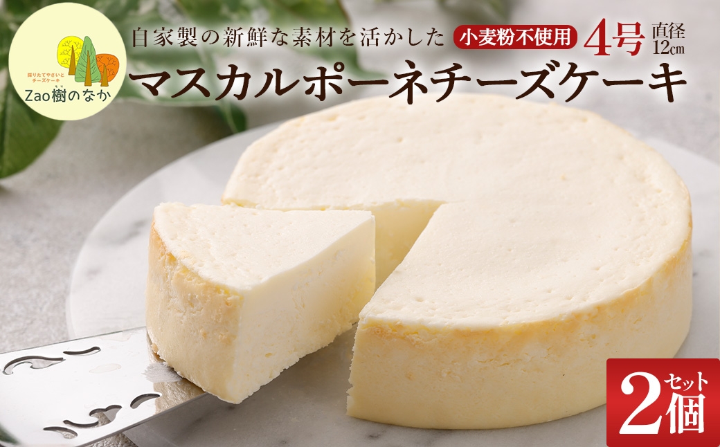 
                  【選べる組合せ】蔵王のチーズケーキ専門店 選べるチーズケーキ＜マスカルポーネ2個＞　【04301-1035】
                