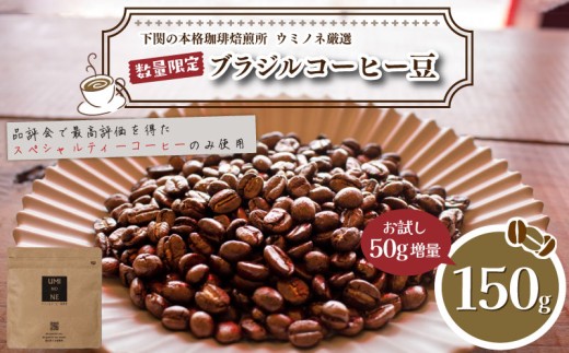 【豆】 訳あり コーヒー豆 お試し 150g 数量限定 ブラジル 珈琲 自家焙煎 下関 山口 2025年度入荷分