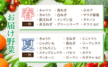 【3ヶ月連続お届け】農家直送 旬の野菜セット 7品目以上 1箱 ／ 定期便 3回 季節 野菜 ボックス BOX セット セレクト 農家 おまかせ 多品目 旬 詰め合わせ 根菜 葉物