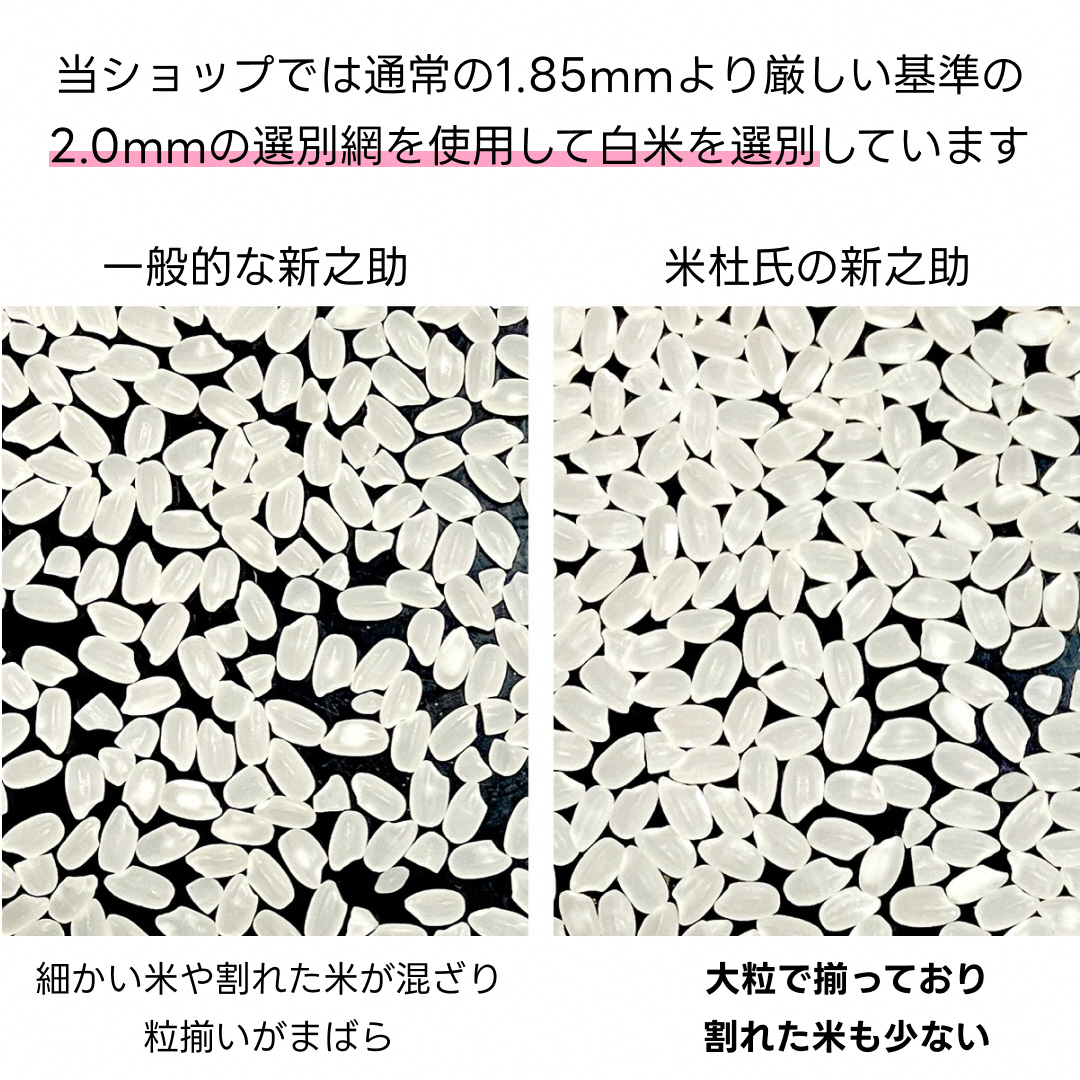 【令和7年産】【3か月定期便】 米杜氏 阿賀野市産 新之助 5kg×3回 計 15kg 1H52049