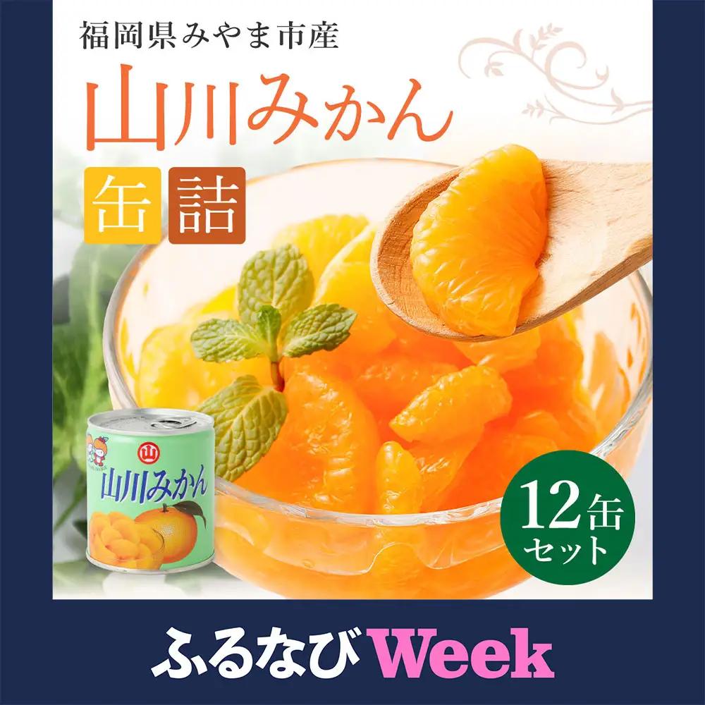 A270 【ふるなびWEEK対象】山川みかん缶詰 12缶セット 【2026年1月下旬以降順次発送予定】