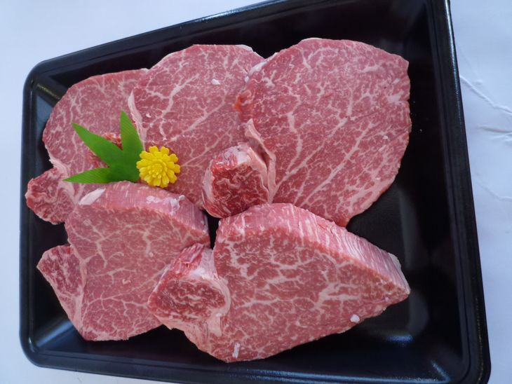 京都府産黒毛和牛（亀岡牛・京の肉・京都肉・丹波産）和牛ヒレステーキ 100g × 5枚