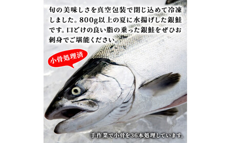 宮城県 みやぎ サーモン（小骨処理済）半身 800g以上 冷凍 刺身 生食 銀鮭 骨取り フィレ 無塩 宮城県 石巻市