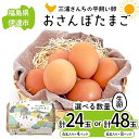 【ふるさと納税】 数量が選べる 三浦さんちの平飼い卵 おさんぽたまご 計24玉 計48玉 伊達市 福島県 国産 養鶏場直送 卵 たまご 玉子 生卵 鶏卵 F20C-949var