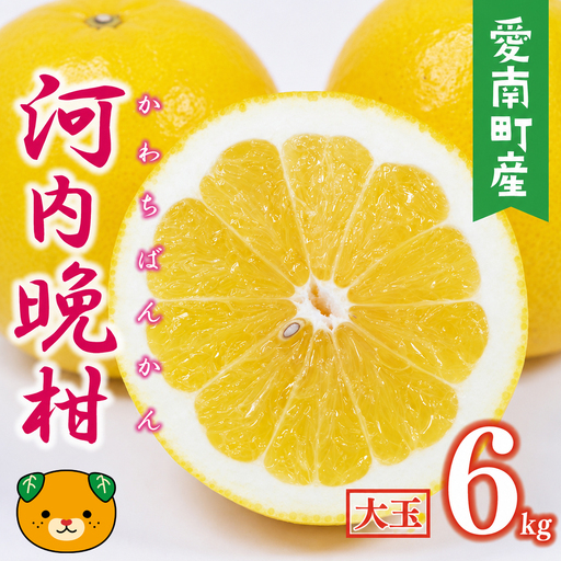 【先行予約】 数量限定  河内晩柑 樹齢 30年以上 大玉 6kg （ 2Lサイズ 以上 ） 8000円 みかん mikan 蜜柑 ミカン かわちばんかん 愛南ゴールド あいなん ゴールド 文旦 派生 和製 グレープフルーツ 産地直送 国産 農家直送 期間限定 特産品 ゼリー ジュース アイス 等に 人気 限定 甘い さわやか フルーツ 果物 柑橘 蜜柑 みかんの山祥 愛南町 愛媛県