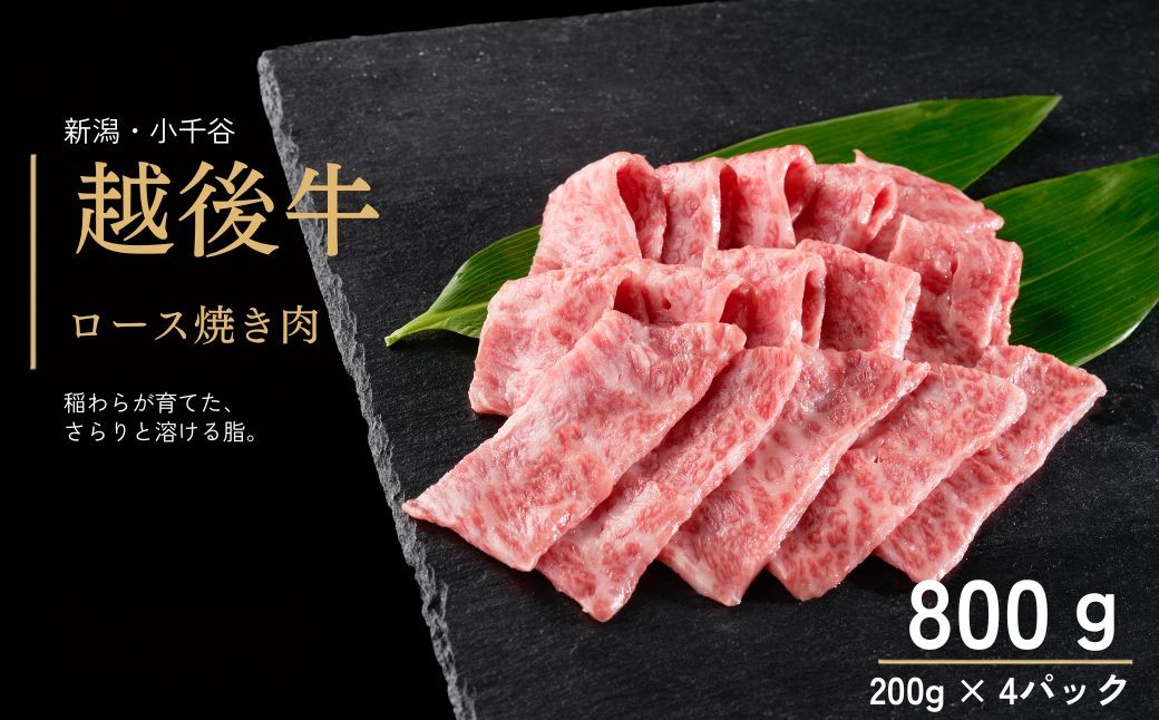 
                  ロース焼肉 新潟 越後牛 ロース 焼肉 計800g (200g×4パック) 三国 | 冷凍 ブランド牛 焼肉 越後牛 国産牛 新潟県産 ロース ロース肉 ろーす ろーす肉 ろーす焼肉 和牛 牛肉 新潟県 小千谷市【0043-0006-01】
                