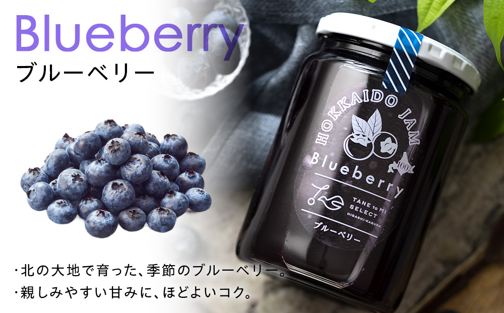ひがしかぐらジャム ブルーベリー〈400g×5〉