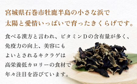 金華きくらげ（乾燥） 漁師がつくる お楽しみセット（小）乾燥きくらげ