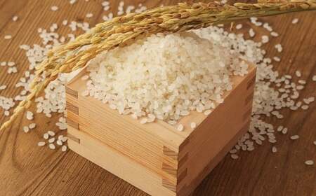 【令和7年産】 無洗米 食味鑑定士厳選 夢つくし 15kg（5kg×3袋） 米 こめ コメ お米 精米 単一原料米 ごはん ご飯 ライス おにぎり