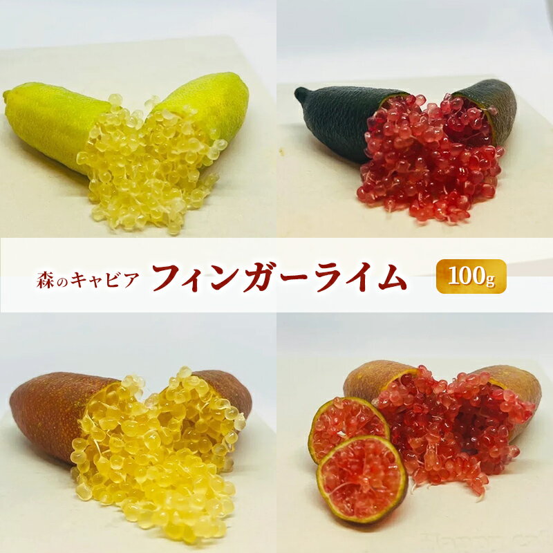 【ふるさと納税】フィンガーライム100g 森のキャビア キャビアライム フルーツキャビア　お届け：2025年7月上旬～2026年1月中旬まで