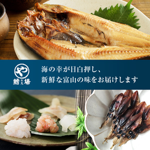 氷見名産【氷見うどん】【一夜干し】氷見産味醂干２種・氷見産食べる煮干し・氷見煮干し使用めんつゆ・鱈場おすすめ一夜干し３種セット 魚貝類 加工食品 魚介類 氷見うどん 煮干し アジ みりん干し 一夜干し